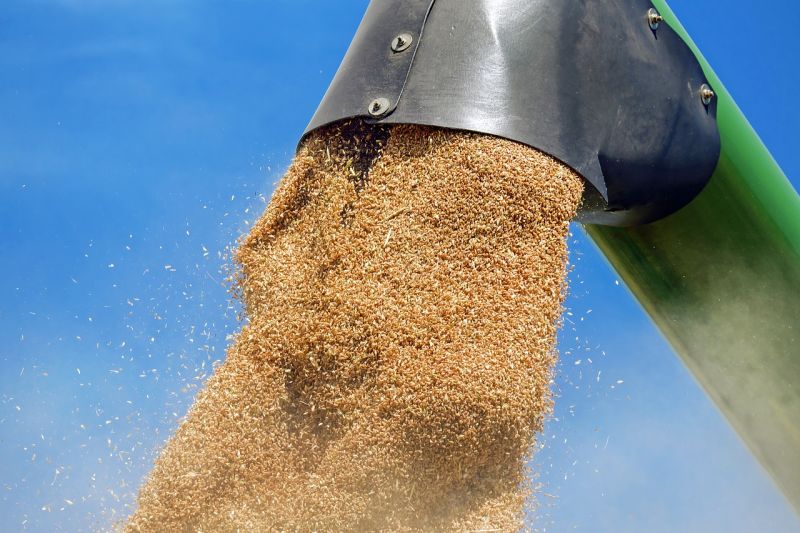 Минсельхоз РФ опроверг сообщение о введении квот на экспорт зерна